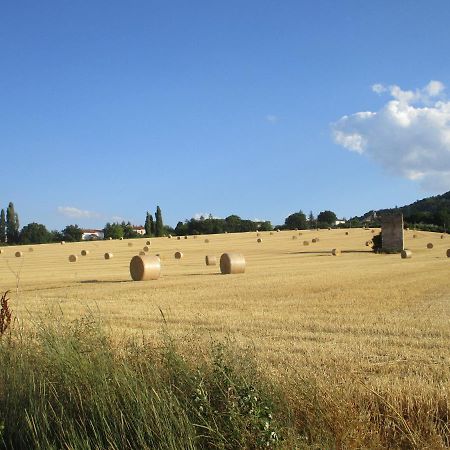Il Risveglio Dei Sensi Villa Fossato di Vico Luaran gambar